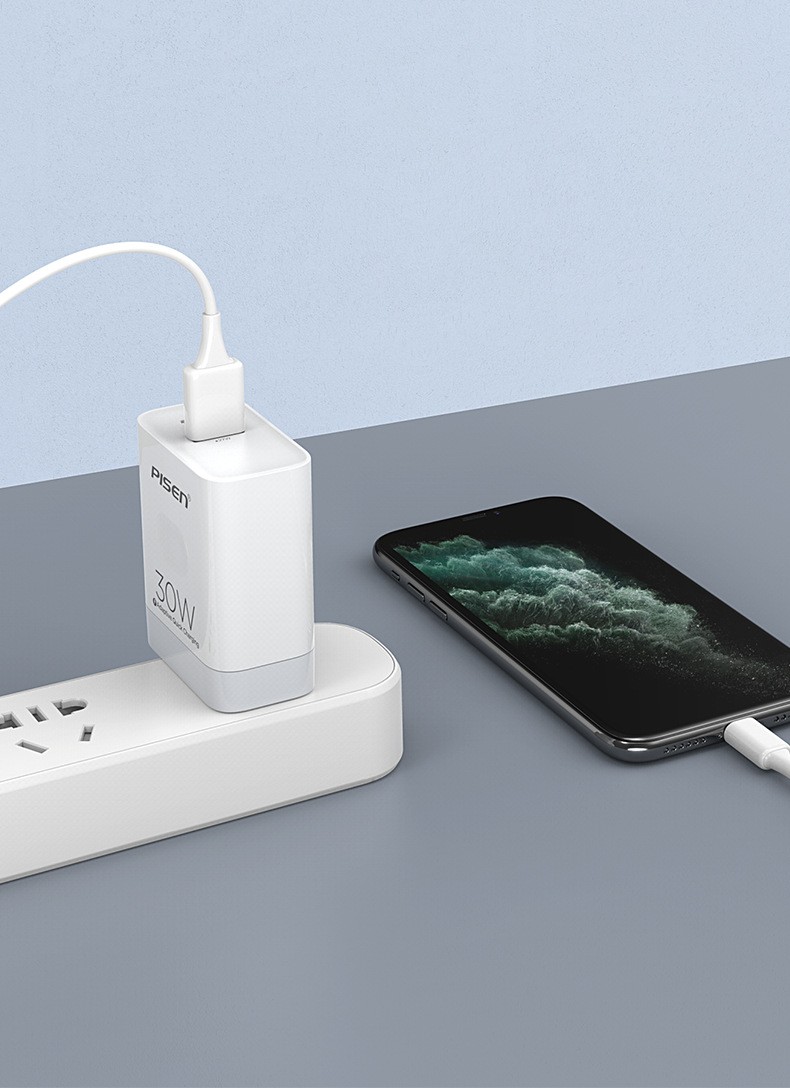 PISEN-CHARGER--31160103026