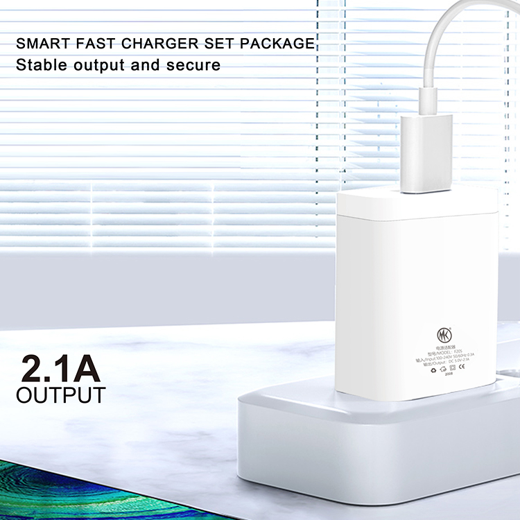 MAKE - CHARGER - F20S-T