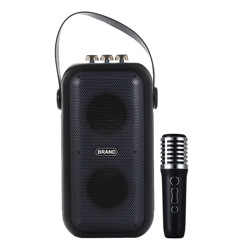 FANSBE Portable Colorful Light 20W Portable 2023 Karaoke Speaker With Mic And Bluetooth