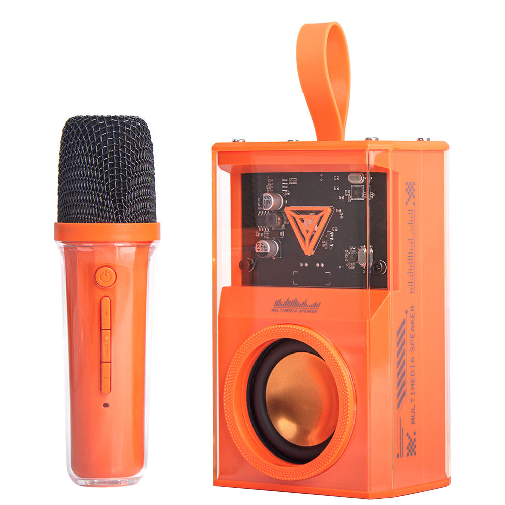 FANSBE Portable TWS 10W Karaoke Subwoofer RGB Light Wireless Bluetooth Transparent Mecha Speaker With Microphone
