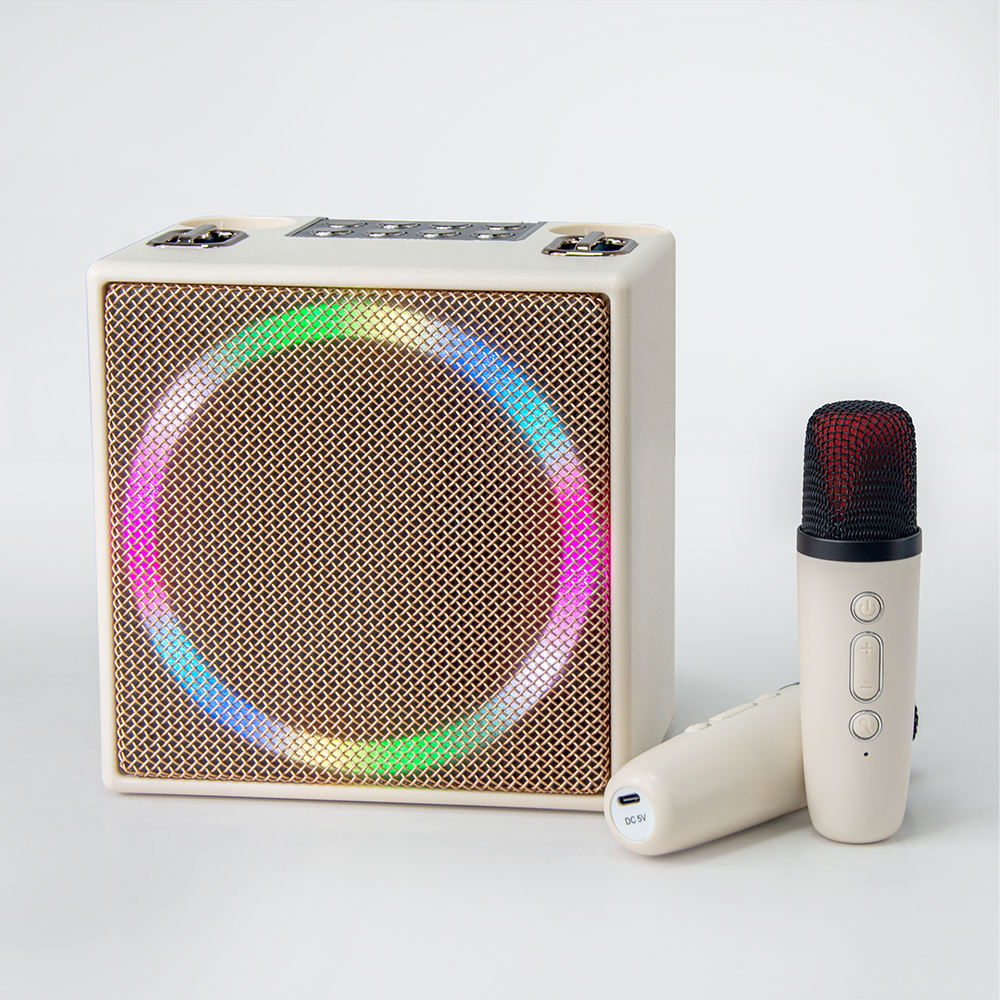 FANSBE Home Family Party RGB 10W High Power Bluetooth Portable Karaoke Speaker With Wireless Microphone