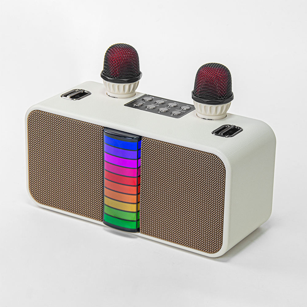 FANSBE RGB Family KTV Party Kids Adults Karaoke Machine Portable Wireless Karaoke Bluetooth Speaker With Microphone