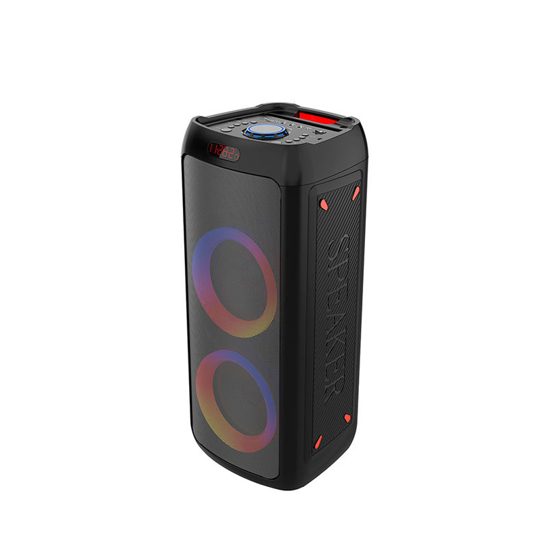 FANSBE 40W LED Dual 8 Inch TWS Pa Speaker System Trolley DJ Bass Bluetooth Party Speakers With Wireless Mic