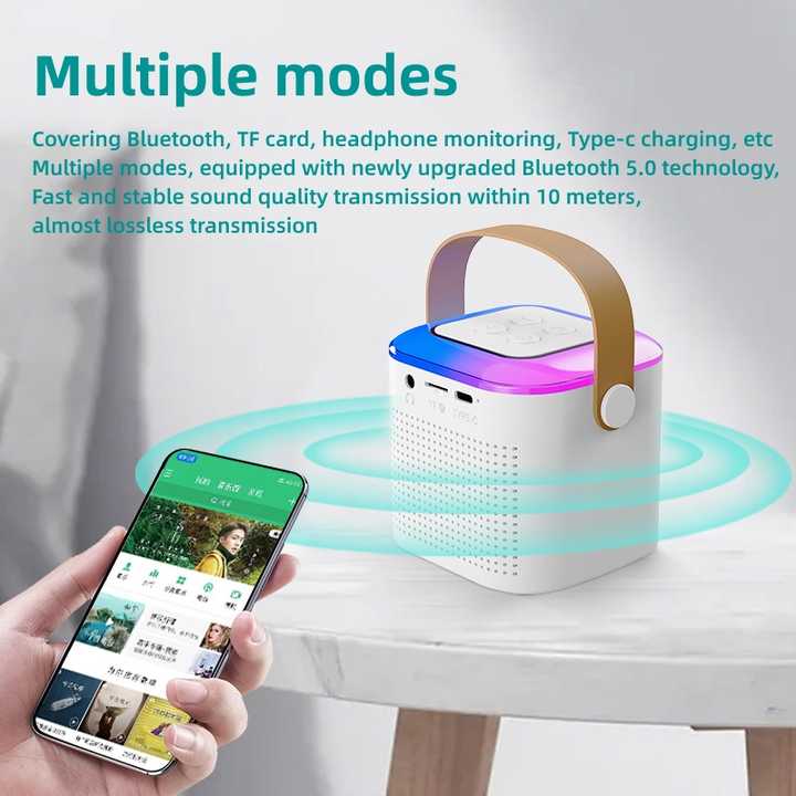 Wireless Home Family Ktv Party Usb Bt Portable Karaoke Speaker With 2 Wireless Mic