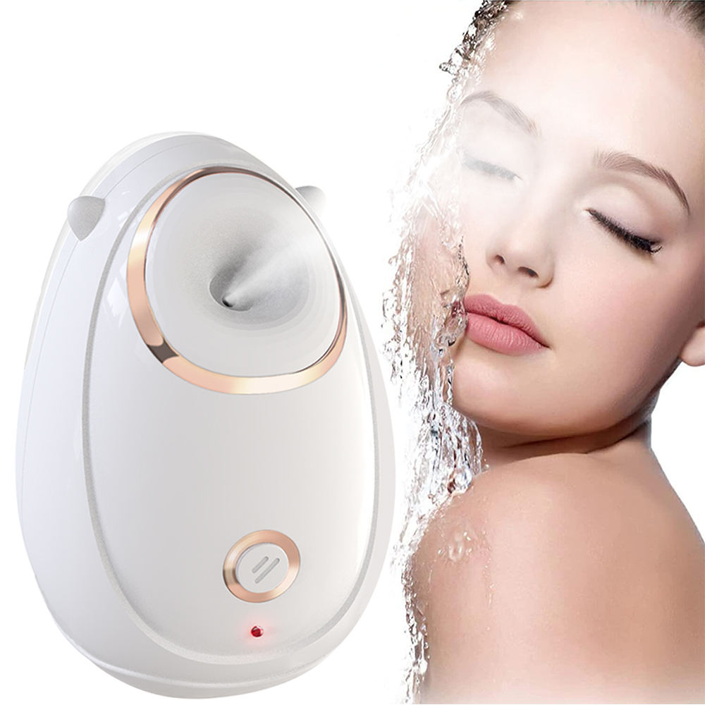 OEM Home Use Beauty Equipment Steam Face Device Ion Hydration Spray Face Steamer
