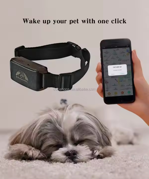 Alibaba en espanol IOS Android Pet GPS Collar 2g+NB factory price GPS Tracker Dog Cat Tracking GPS tk201