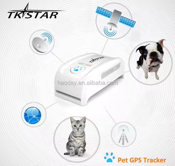 Mini GPS Tracker TK909 Collar Waterproof Locator Rastreador Localizador Chip for Pets Dogs Perro Pigs Tracking Geofence