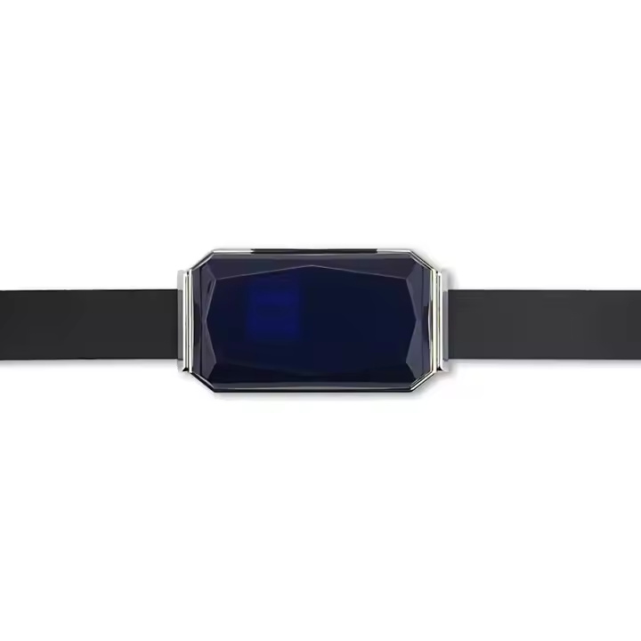 Cute Dog GPS Tracker G12 for Pets Real-time Tracking Waterproof IP67 Two-way Talk LBS+GPS+AGPS+Wifi Location Geo-fence Free APP