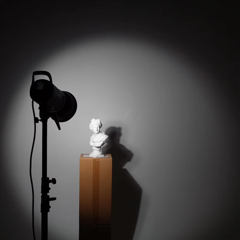 14 Inch Selfie Led Ring Light Remote Control With Carrying Bag ring light 2 usb port 14 18