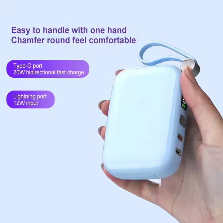 LANY 10000mAh Power Banks & Power Station Consumer Electronics Outdoor Fast Charging Power Bank