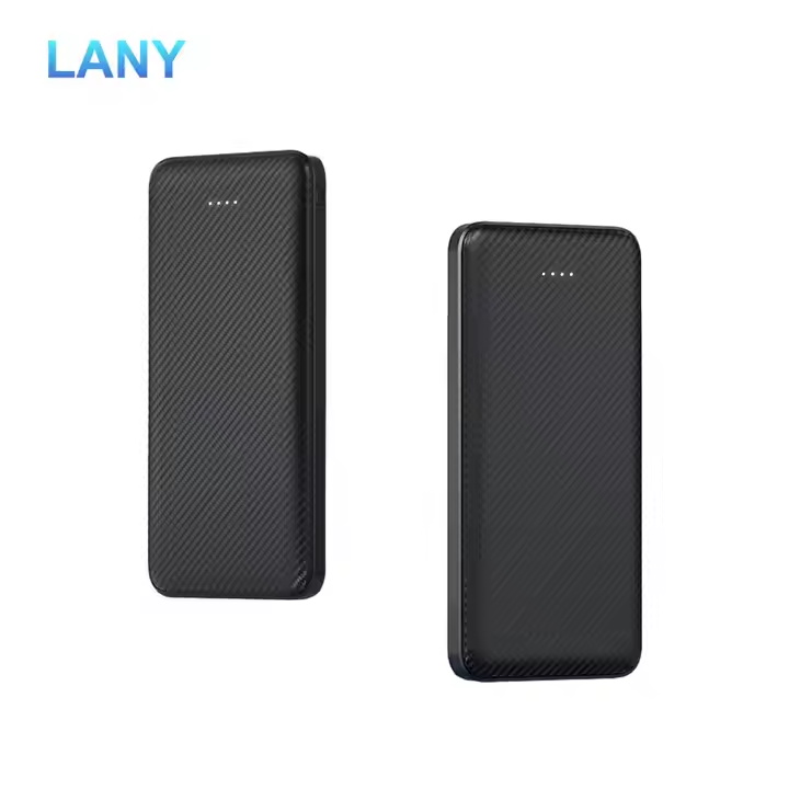 LANY OEM Portable 10000mah Power Bank 20W Fast Charger Travel Mini Lithium ion Battery LED Display For Phone