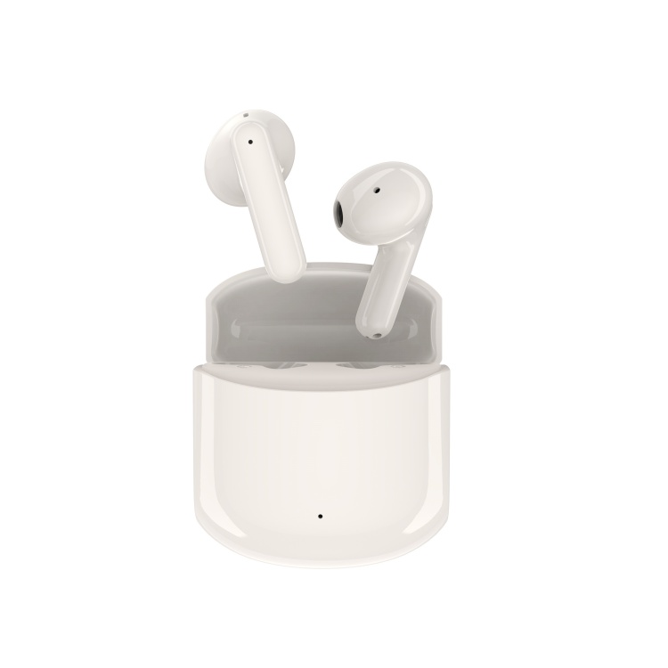Half In Ear Truly Wireless Earbuds T209S