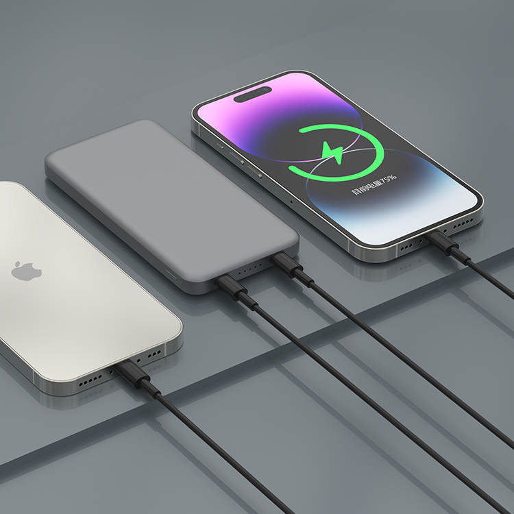 LONGPIE-20W Metal Power Bank-A42