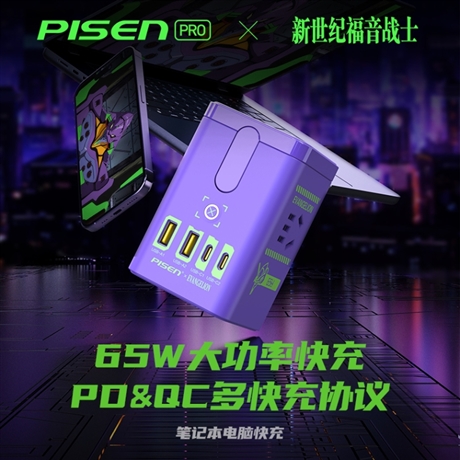 PISEN Charger 002