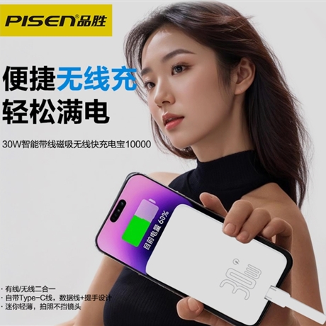 PISEN Mobile Power 001