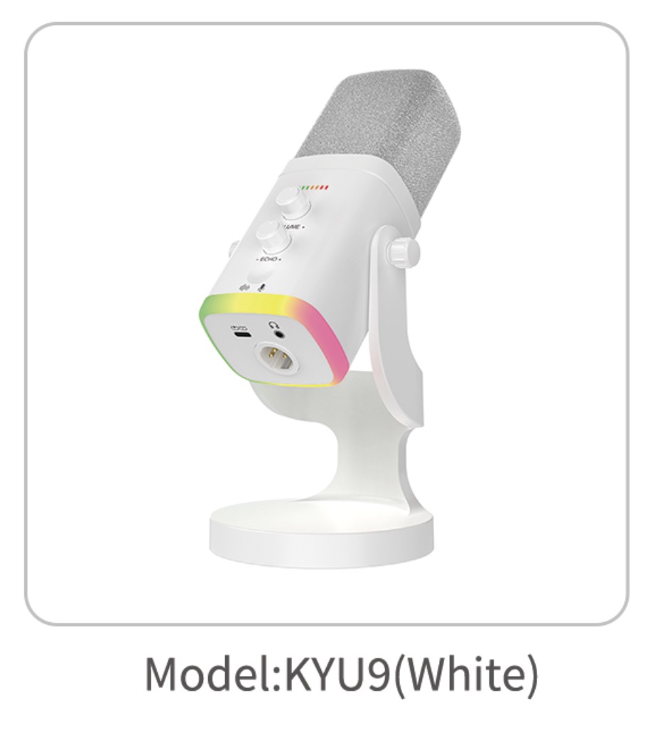 KAIYIN Audio Equipment KYU9 MIC speaker WHITE