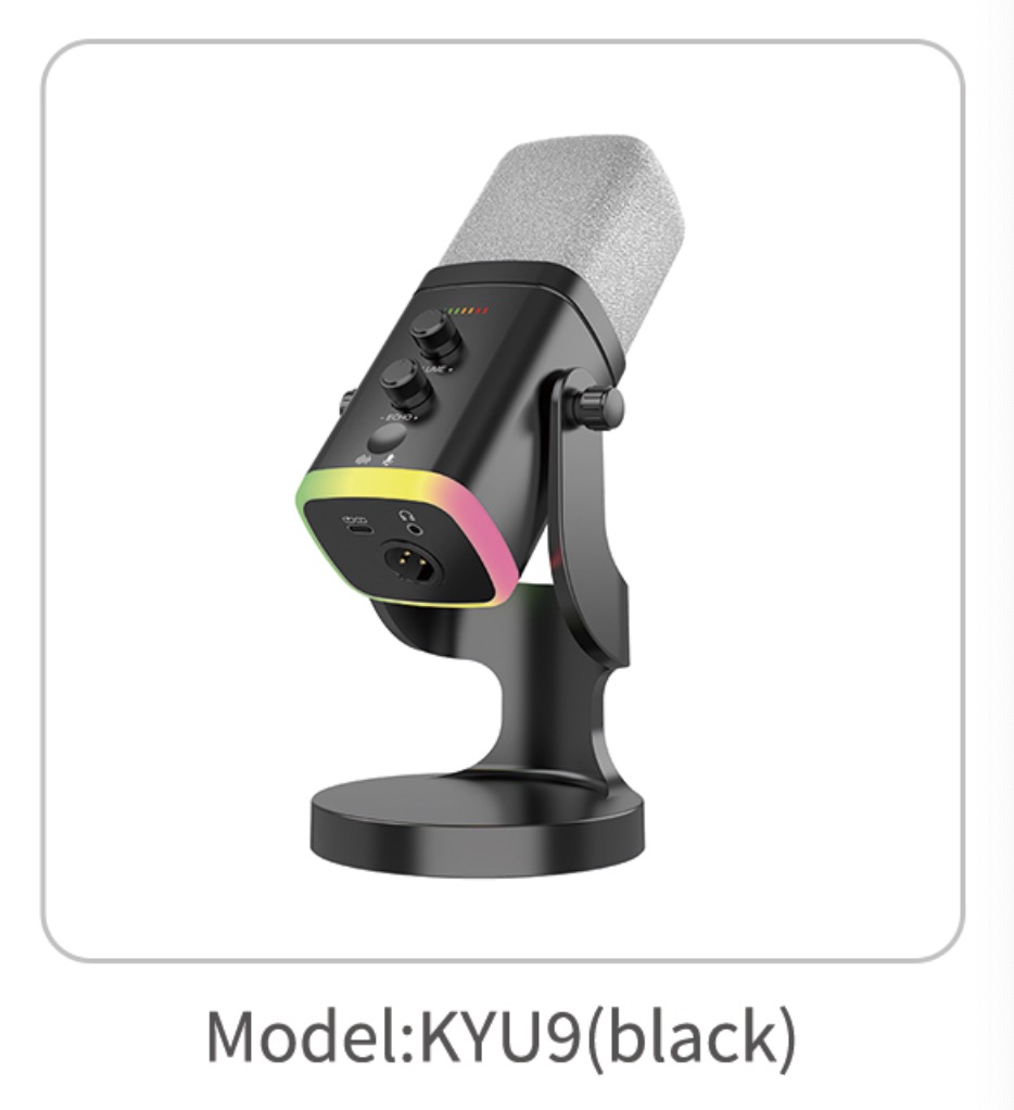 KAIYIN Audio Equipment KYU9 MIC speaker