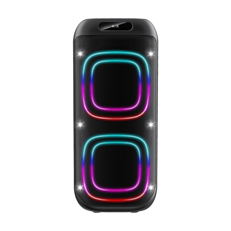 DEYIN 010 New 6.5*2 Portable Speaker System Outdoor Active Speaker Portable Speaker with Wireless Microphone