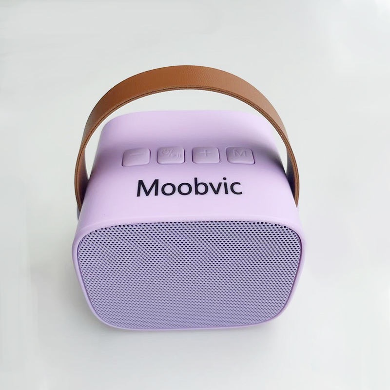 JINTAIRUI SPEAKRT 006