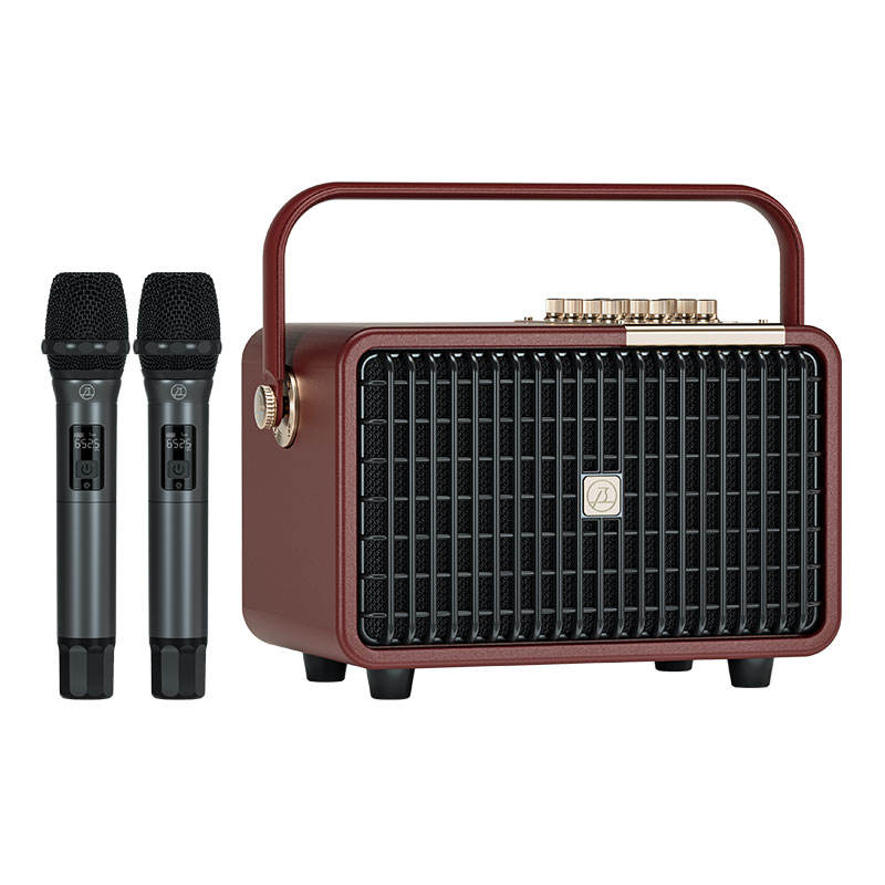 Saintlark 001 100w Big Power Built-in Battery Bluetooth Wireless Speaker with Dual Mic for Home Party Office