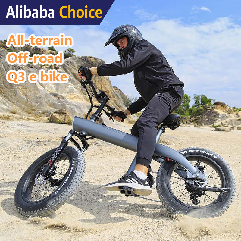 EU & US Warehouse  Electric Mountain Bike 20 Inch Fat Tire Wheel  Electric Fatbike Price Electric Bicycle