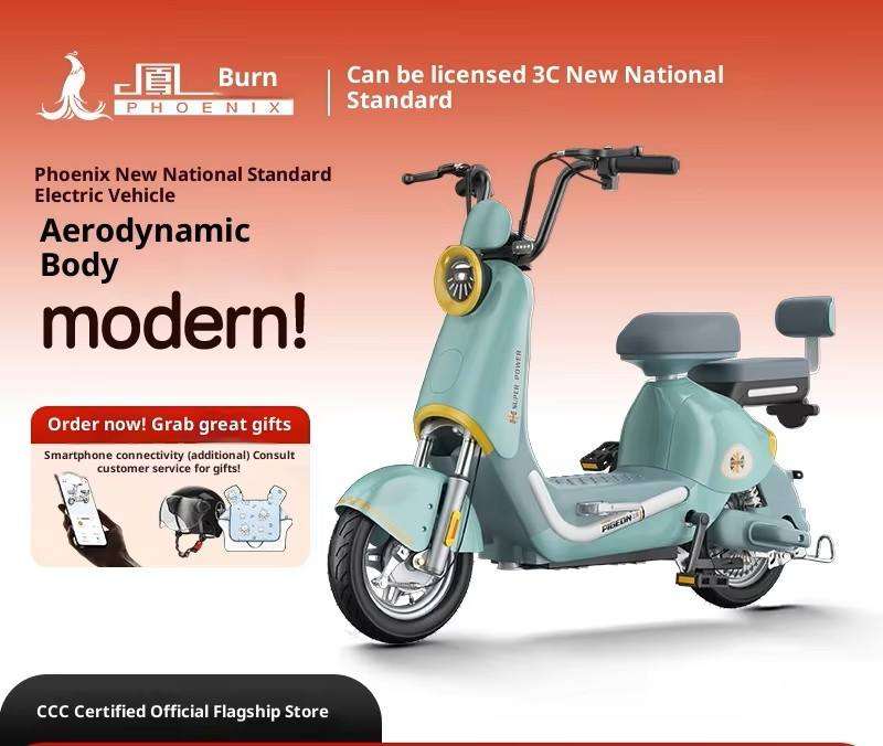 TD3 Chaowei12ah New Standard 3-Speed Electric Bicycle 350W 48V Lead-Acid Battery Steel Brushless Front Rear Hub Brake City Bike