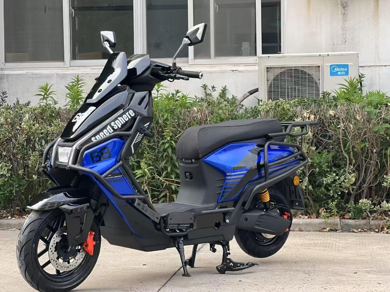 2025 Customizable 1000W Motor Electric Scooter 10 Inch Tire 45km_h Top Speed 60km Range 150kg Removable Lithium Waterproof