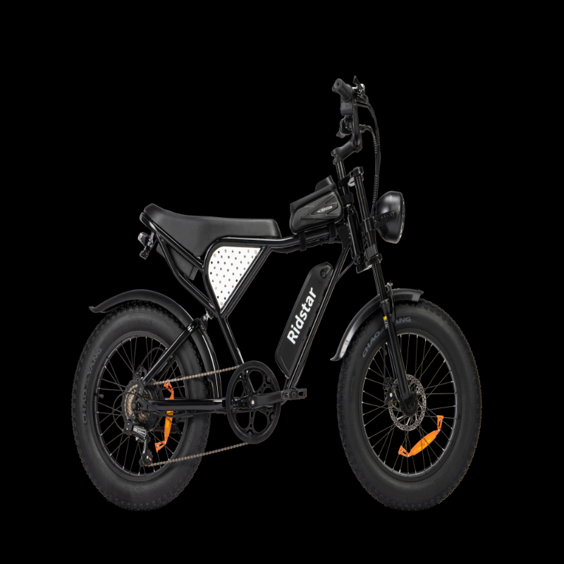 Ridstar Q20 48V 20AH Electric Bike Rear Hub Motor Aluminum Alloy Frame Hydraulic Disc Brakes EU_UK_USA_AU_CA