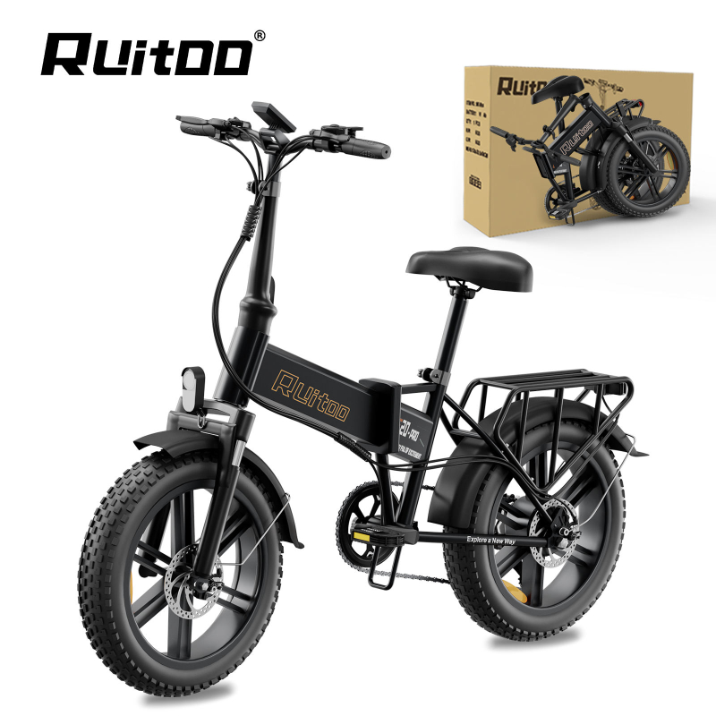 Ruitoo E20PRO E Bike Private OEM ODM 250W Rear Hub Motor 48V Disc Brake Electric Bike Folding