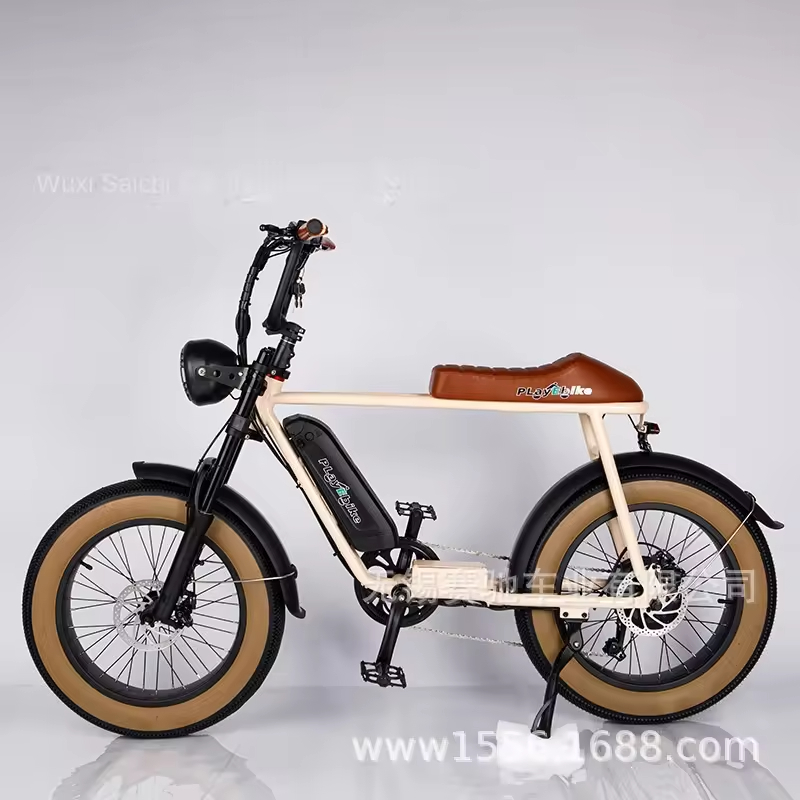 20-Inch Power-Assisted Mountain Bike Electric Snow Bicycle Integrated 1000W Central Motor High-Power Folding Hub Motor