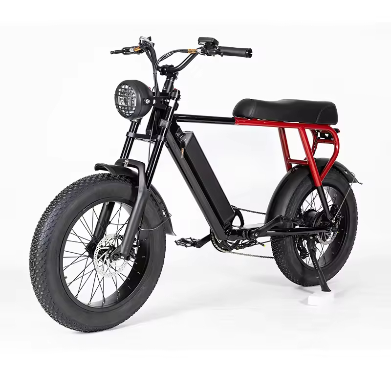 20-Inch Power-Assisted Electric Bike Rear Hub Brushless Motor Lithium Battery Disc Fat Tire Variable Europe Warehouse Stocked