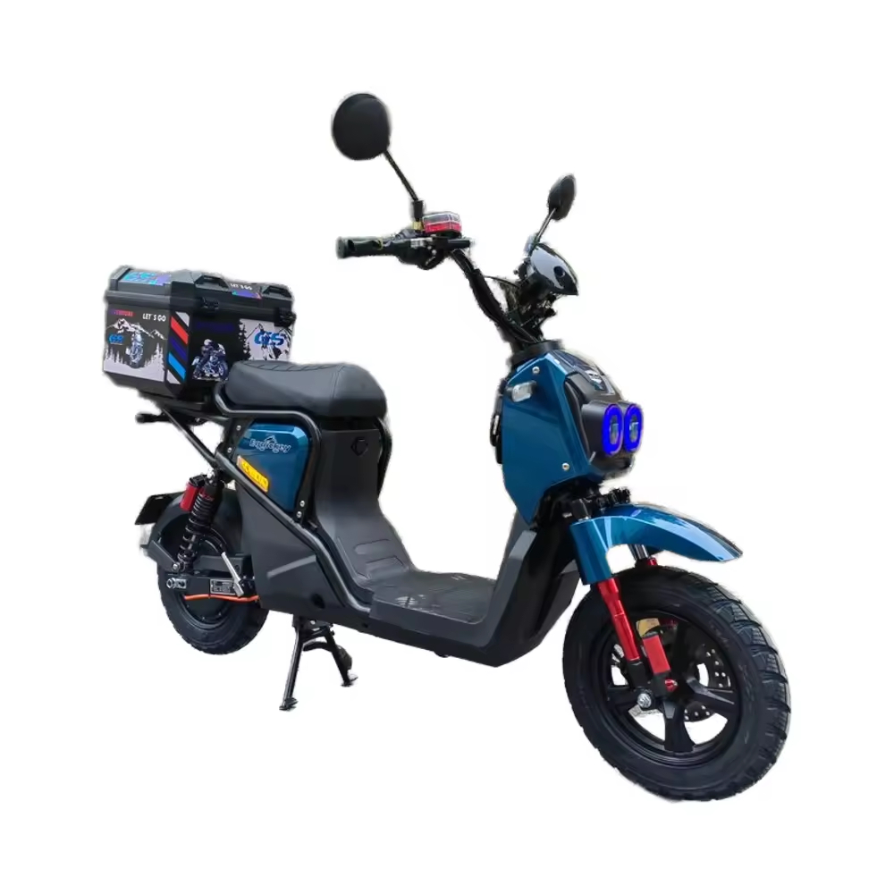 48V 100Ah Lithium Battery Electric Moped Scooter Waterproof Off-Road Streetbikes with 500W Motor and LCD Display
