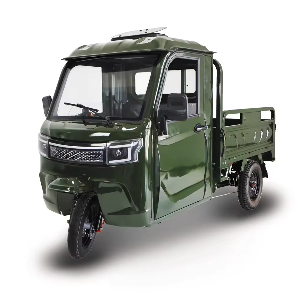 3000W Electric Cargo Tricycle New Update 1000W Motorized Trike for Adults EEC_COC Approved Three-Wheel Passenger Carry Trike