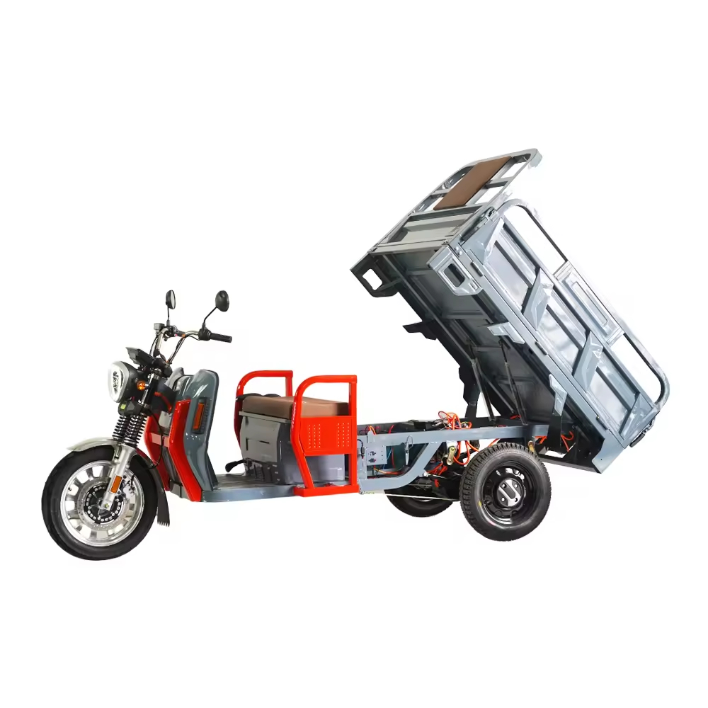 NEW E Carrying Cargo Tricycle Power Three Speed High Quality EEC CE DOT Dump Trike for 2 Adults