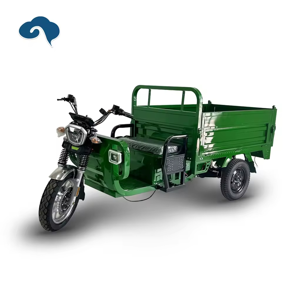 New Model Tricycle Good Look Electric Tricycles Double Seat Adults 2000W 3000W 60V 52AH 58AHLoading 800KG to 1000KG