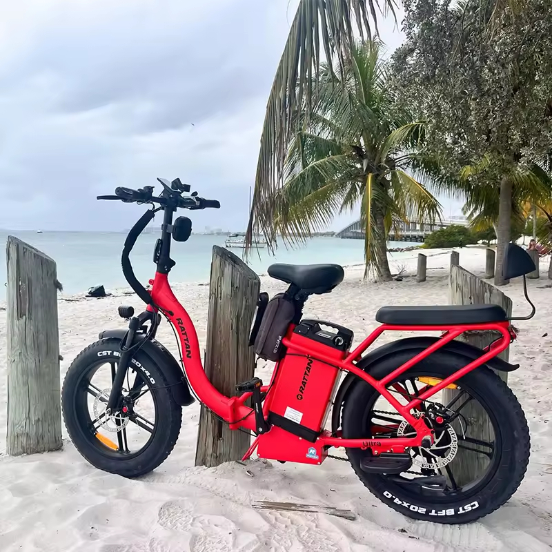 Eu Hot Sale Electric 32 MPH Long Range Food Delivery Tourwheel Folding Frame Fatbike Electric City Hybrid Bike