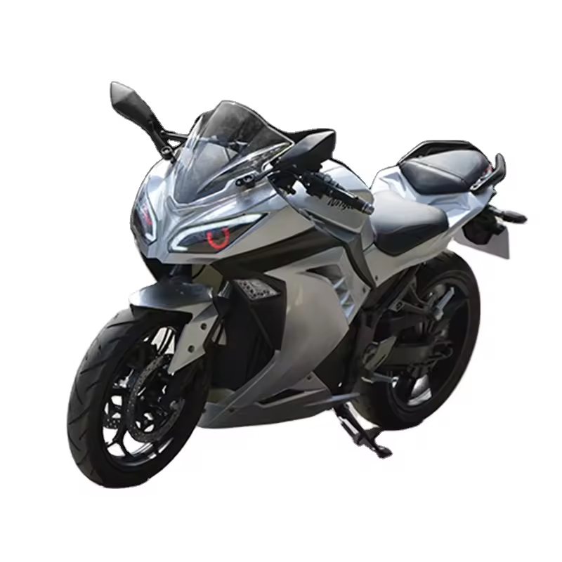 3000w Big Power High Speed Motor 60a Lithium Battery off Road Electric Motorcycle for Adult Fat Tire Dirt Bikes Motorbike