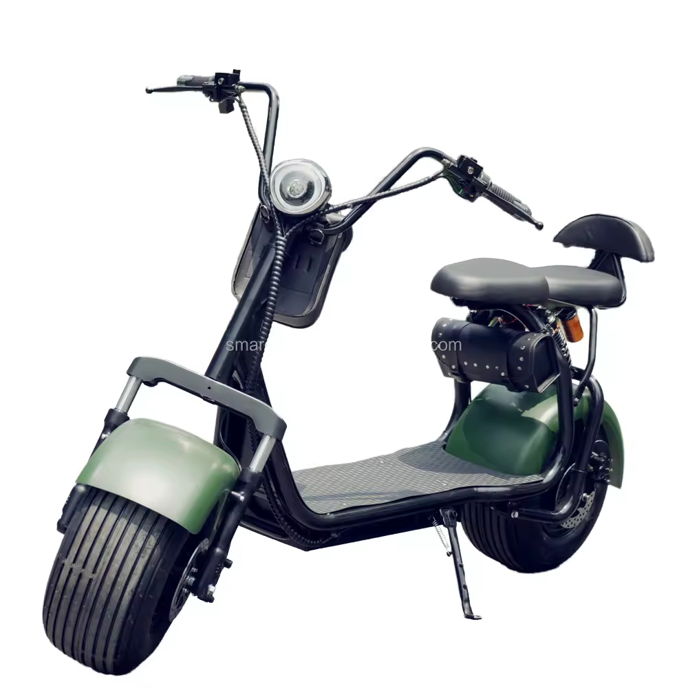 Basic Model 1500W Two-Wheel Electric Scooter with Fat Tire Price and Lithium Battery