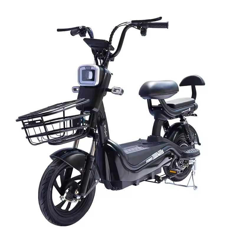 48V Electric City Bike for 2 Adults with Rear Hub Motor Lead-Acid Battery 500W Motor 60km Range 3 Speeds