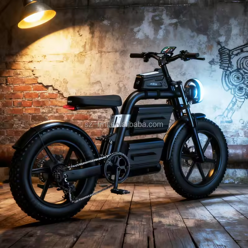 Black Warrior New Model Electric Bike High-Speed Rear Hub Motor Lithium Battery Power Supply for City Road Mountain Commuting