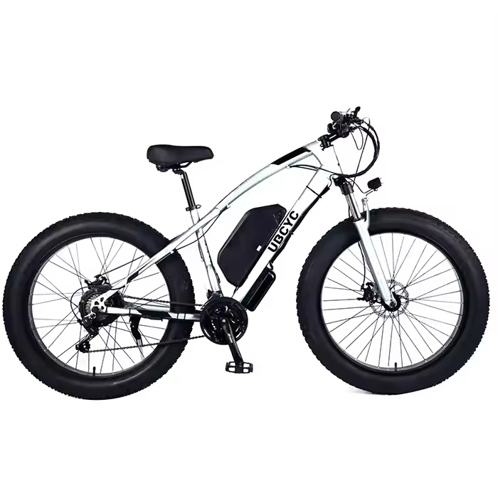 Cheap Price 48V 1000W Ebike City Fat Tire Electric MTB Mountain Snow Dirt Bike for Sale