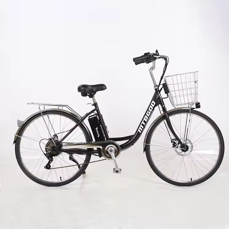 Electric Moutain Bike Full Suspension Step Through Electric City Bike 36v 48v Holland City Ebike Retro E Bikes 1000 Wat Faltrad