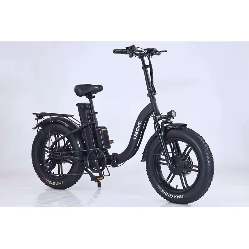 New 24 Inch 48V250W 500W 750W Electric Bike Fat Tire 2 Wheel Electric Bicycle _ Adult Electric Bike