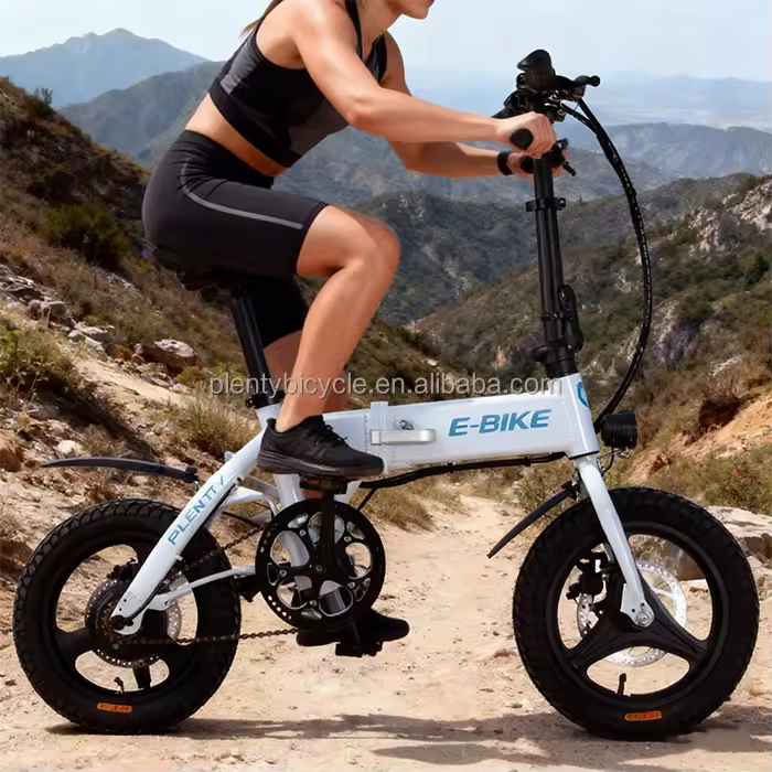 14_ Folding E-Bike14_ Folding E-Bike