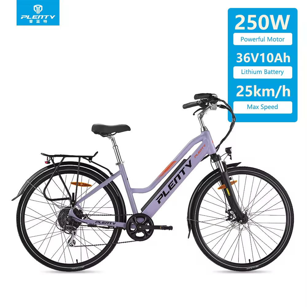 Customizable 36V 250W Full Suspension Electric Bike EU UK Warehouse Free Shipping Integrated 12Ah Electronic 1200mm Wheel Ebike