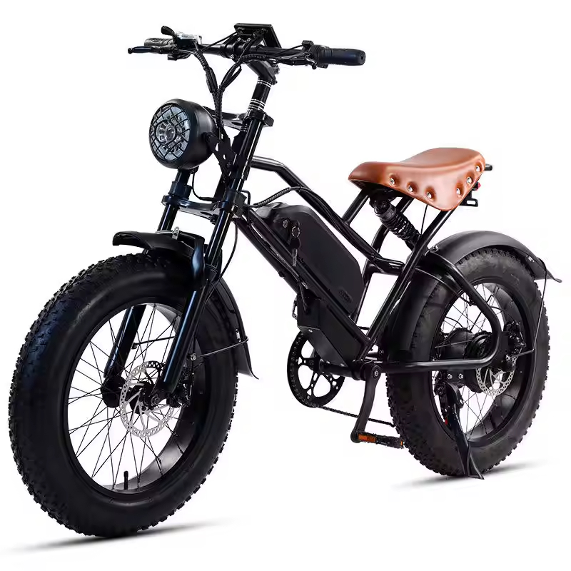 Hot-Selling Retro 20-Inch Snow Electric Bicycle_ An All-Terrain Off-Road Electric Bicycle Equipped With a Lithium Battery