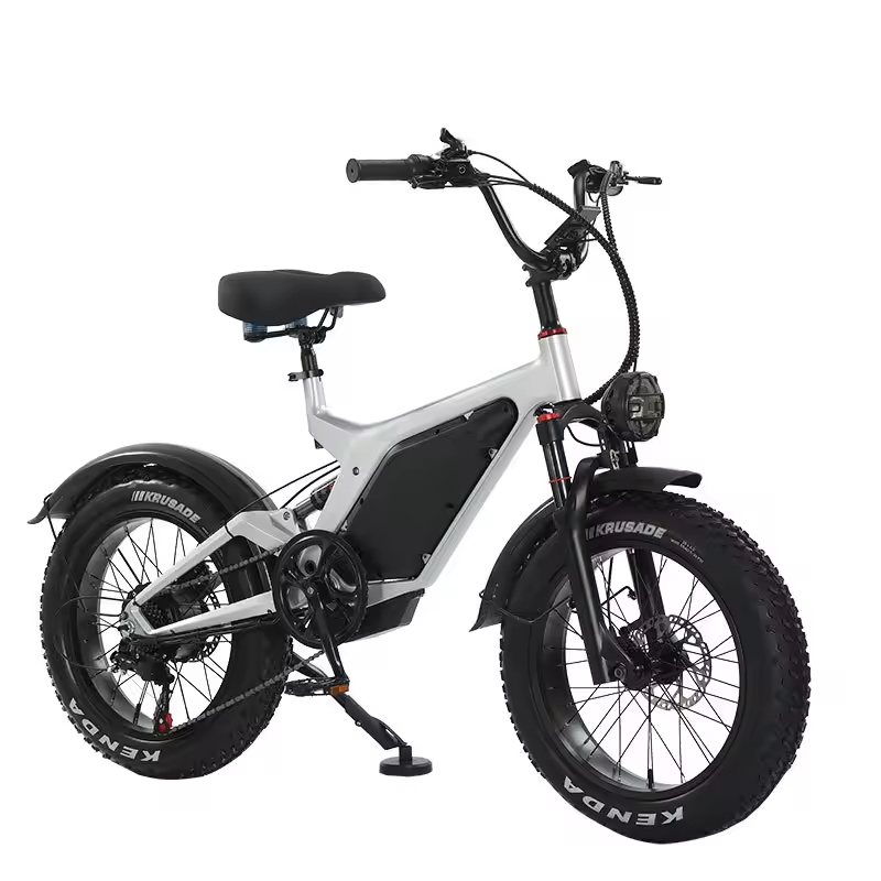 Wholesale Price Brushless 3-Speed 4.0-Inch Wide Tire Electric Bicycle Suitable for Snow Off-Road Riding Custom Aluminum Alloy