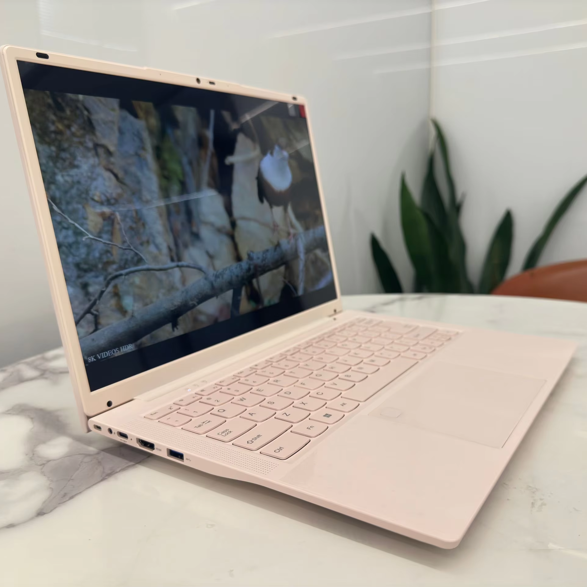 COOKY 14 Inch Laptop Supports 512GB 1TB DDR4 Video Computer Hardware Software Manufacturer pink Laptop