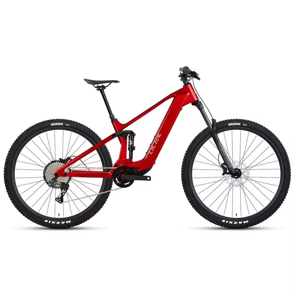Bafang M820 250W Mid Drive Ebike Carbon Full Suspension EMTB Bicycle 29er Electric Bike for Adult High with Dropper