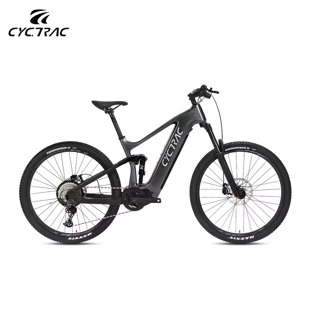 Carbon Fibre Full Suspension EM10 Mountain Electric Bicycle with 500W Centarl Motor Rockshox Fork Bicycle Parts Ebike for Sale